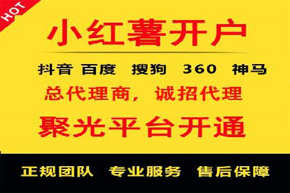 百度广告推广在旅游行业的成功案例